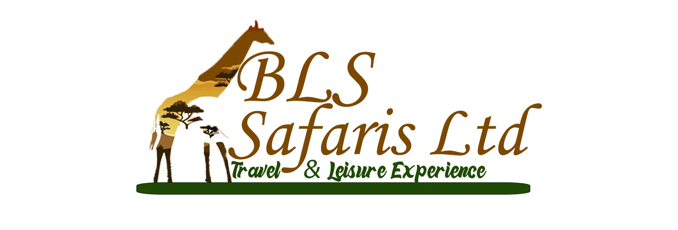 BLS Safaris Ltd