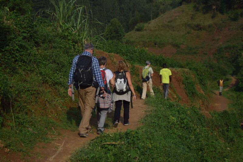 4-Day Rwanda Gorilla Trekking