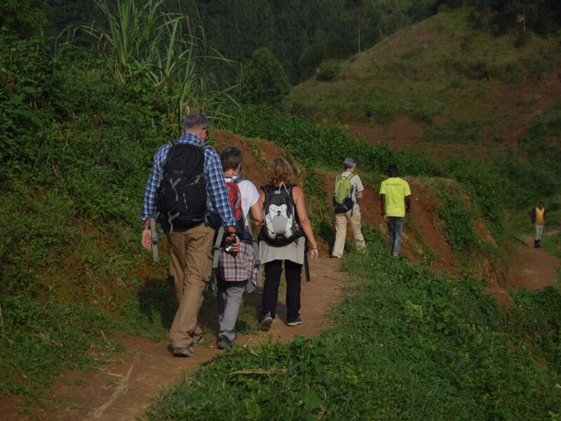 4-Day Rwanda Gorilla Trekking