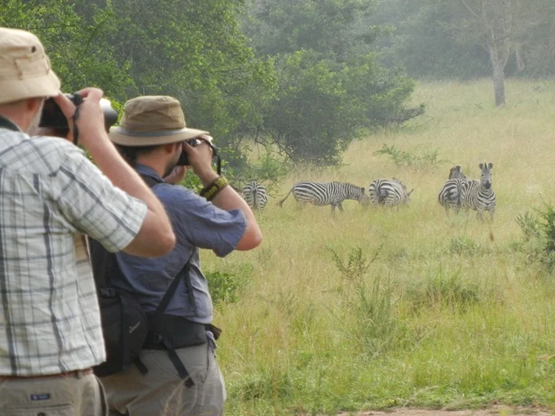 Lake Mburo Wildlife Safari 1