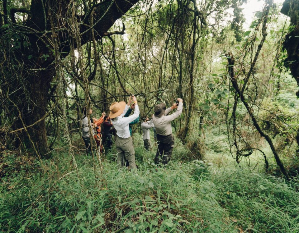 East Africa National Parks