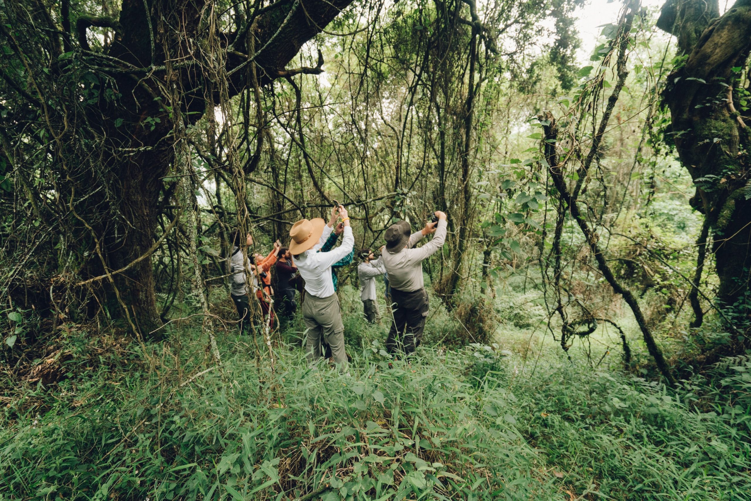 East Africa National Parks