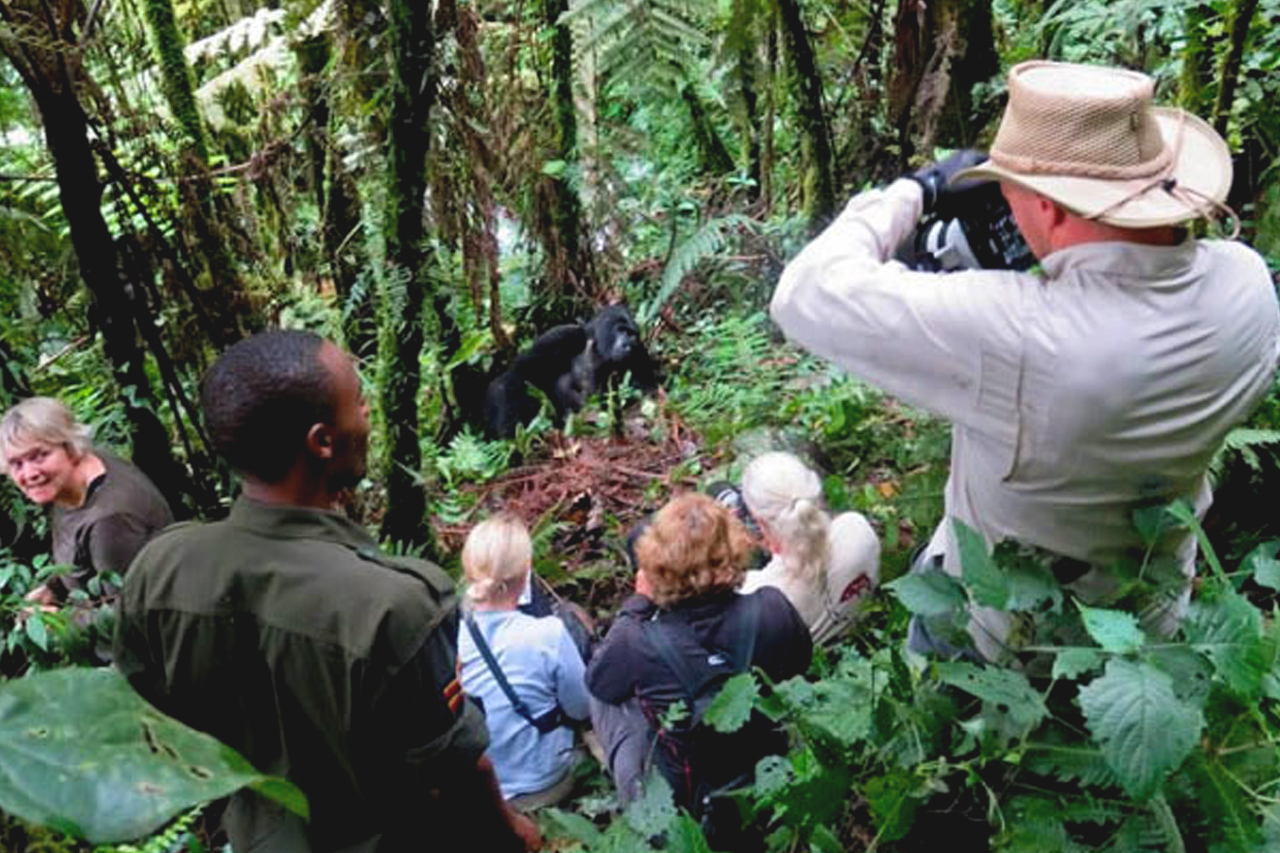 Uganda Gorilla Trekking Experience