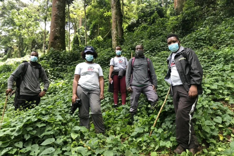 1-Day Rwanda Gorilla Trekking