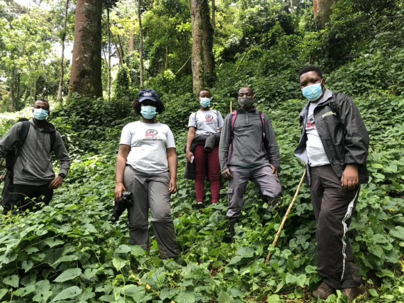 1-Day Rwanda Gorilla Trekking