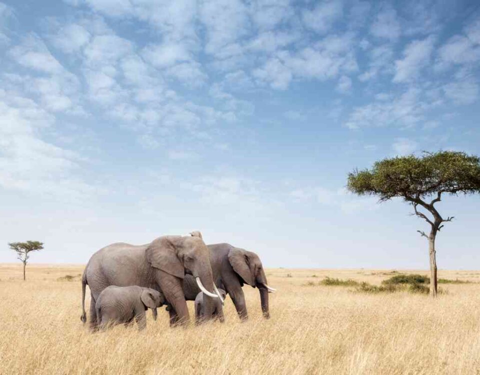 East Africa Travel Destinations