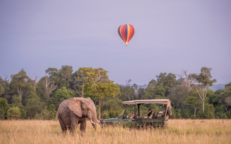 Kenya Tanzania Safari Adventure