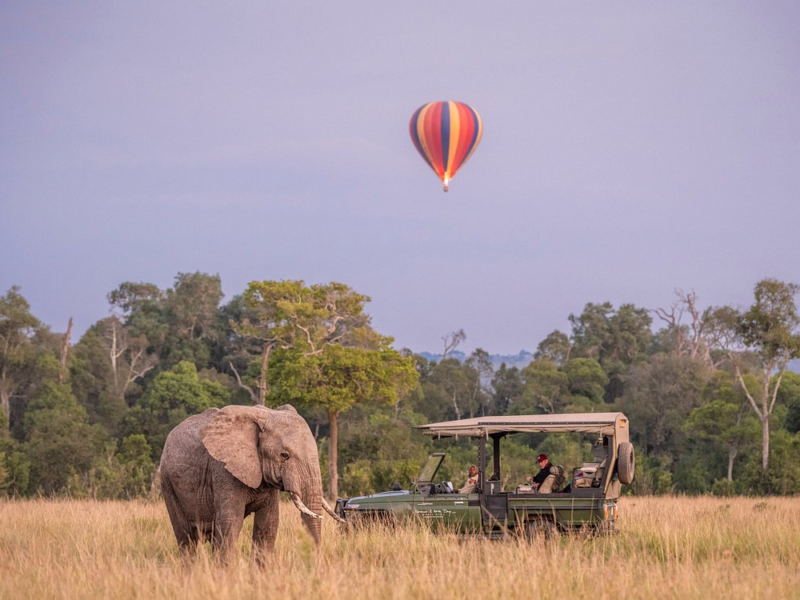 Kenya Tanzania Safari Adventure