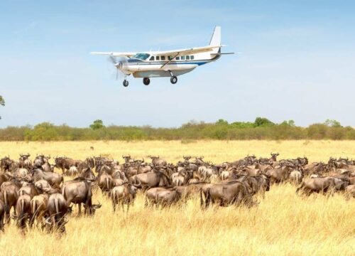 7 Day Serengeti Luxury Fly-In Safari