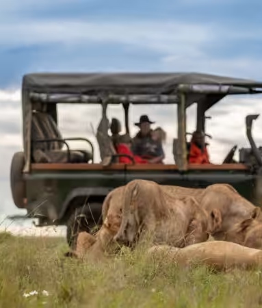 Game Drives