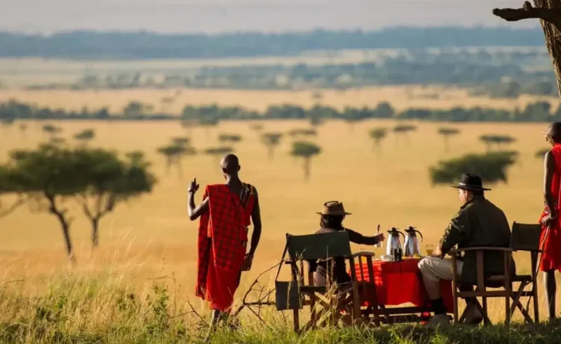 Lions on the Masai Mara plains, Kenya — Big Five safari and Great Migration crossings
