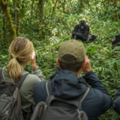 Bwindi Gorilla Trekking Uganda