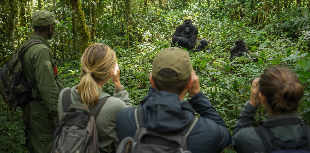 Bwindi Gorilla Trekking Uganda