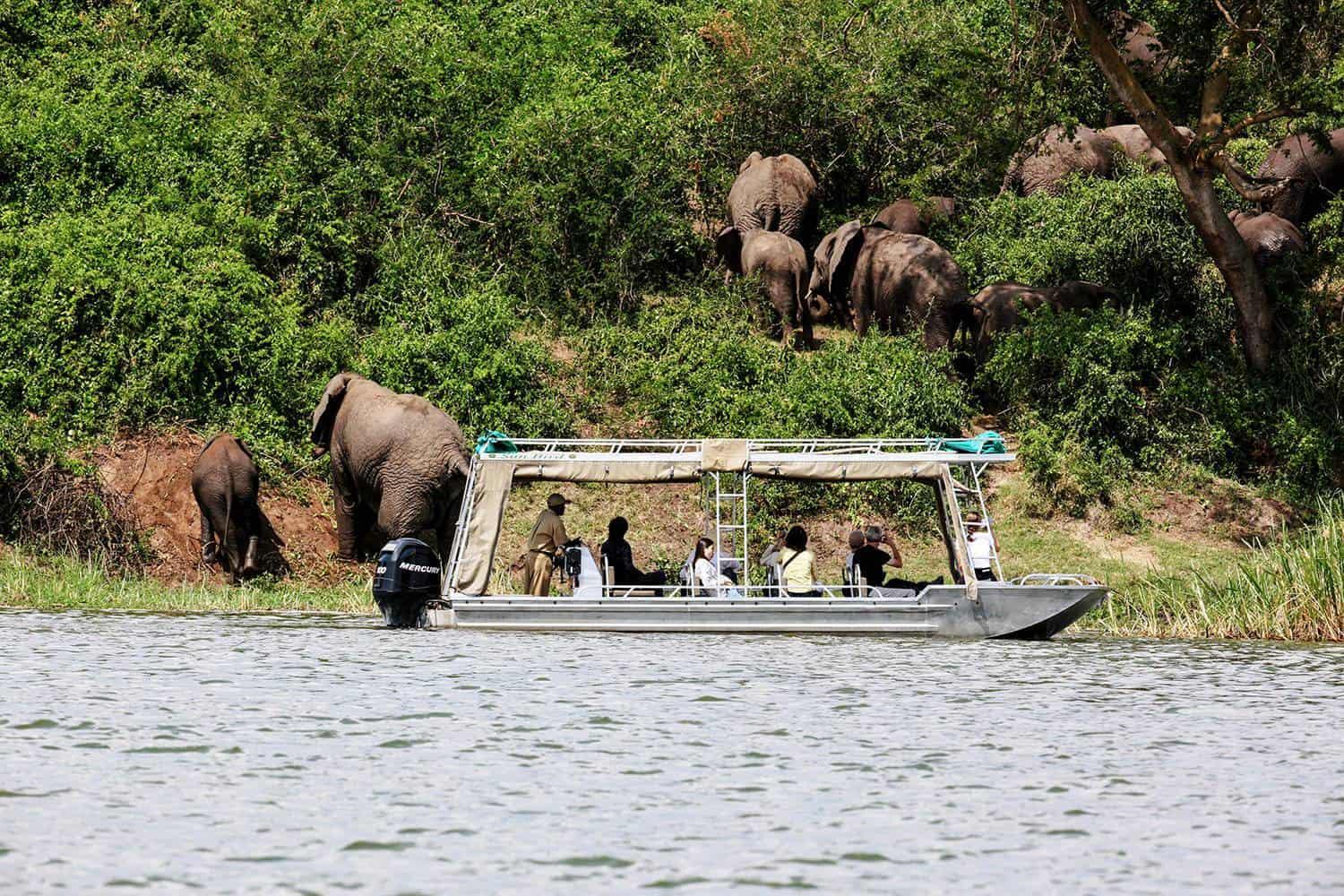 African wildlife in a natural safari landscape