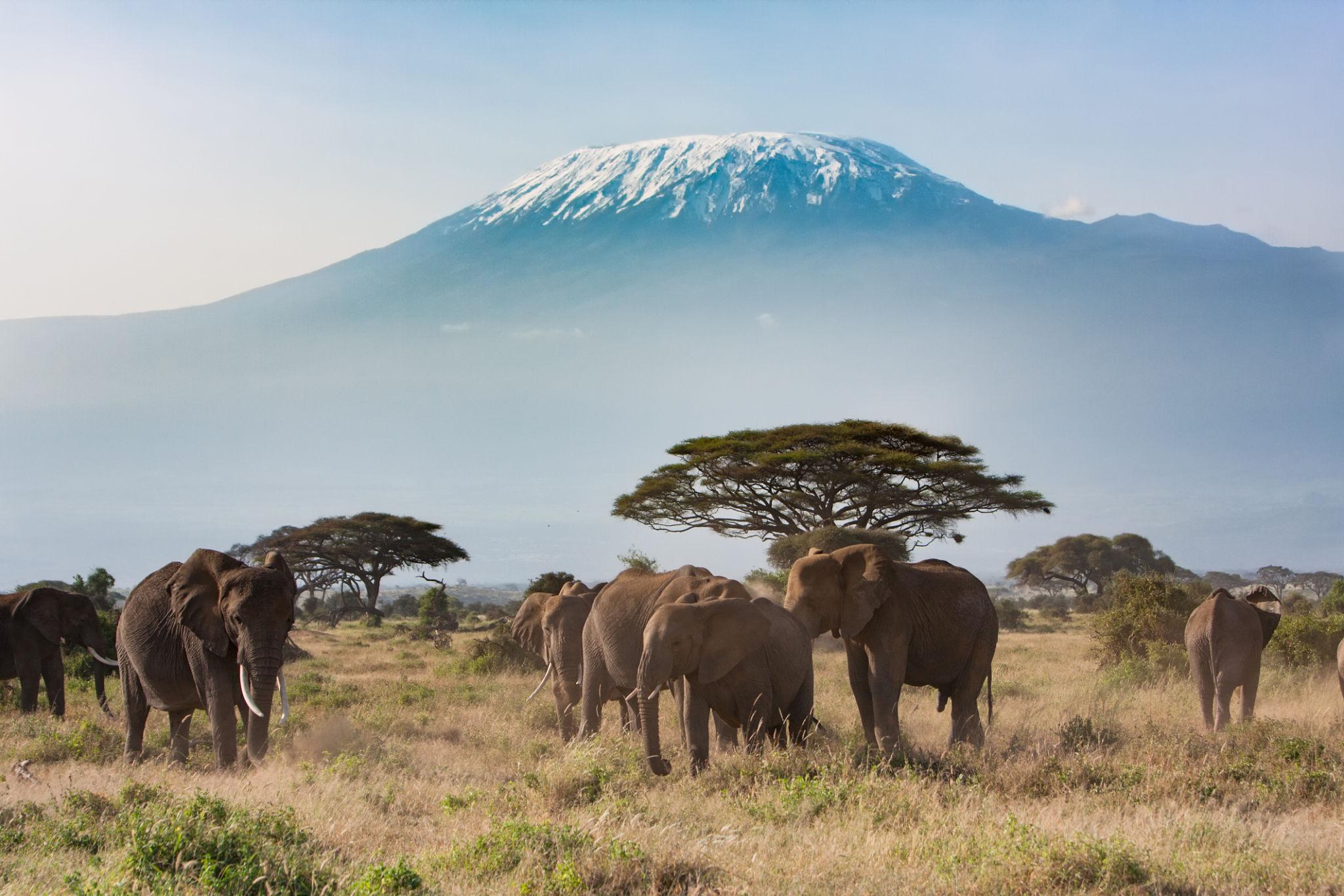 Mt Kilimanjaro from Amboseli National Park