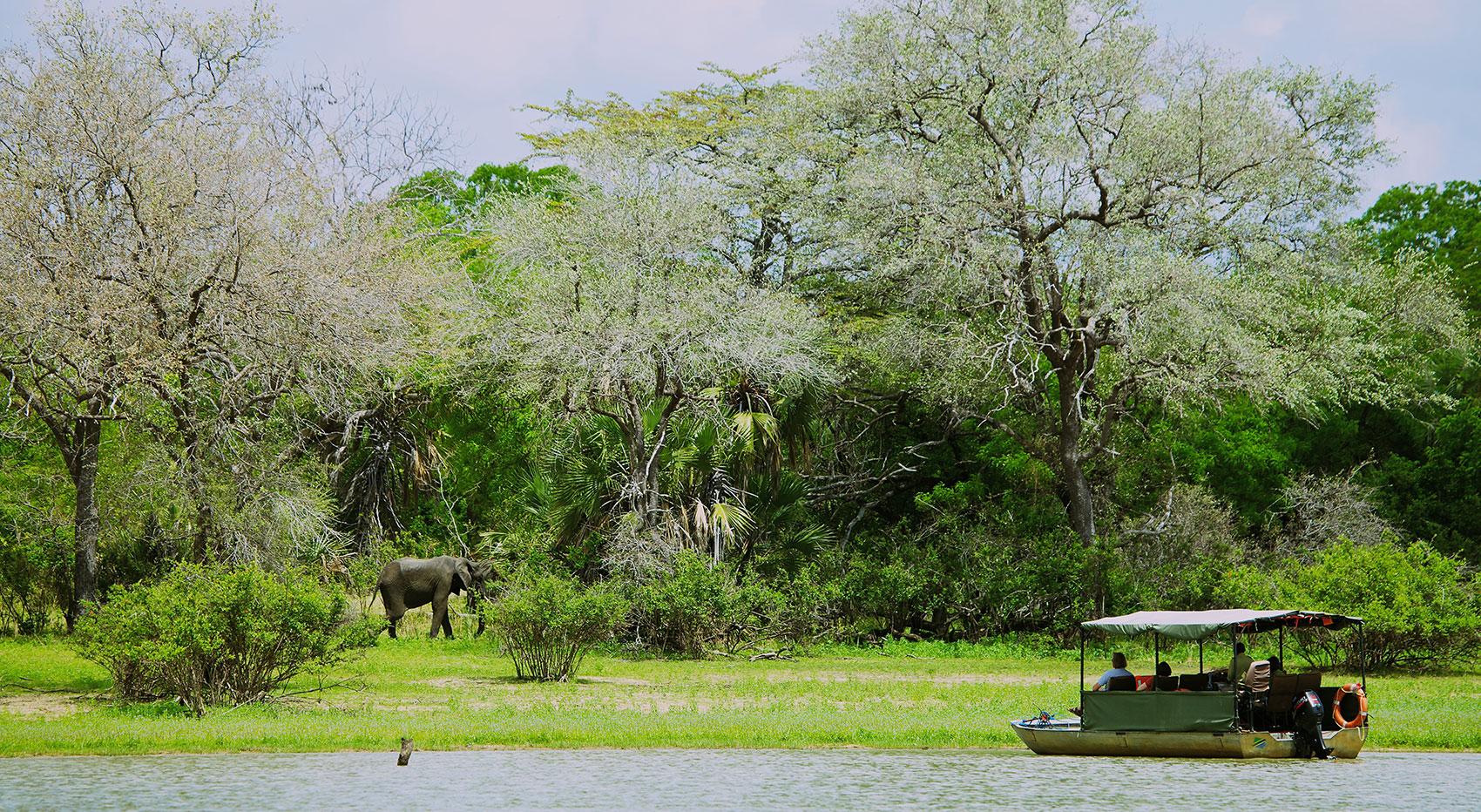 boat safaris in nyerere national park