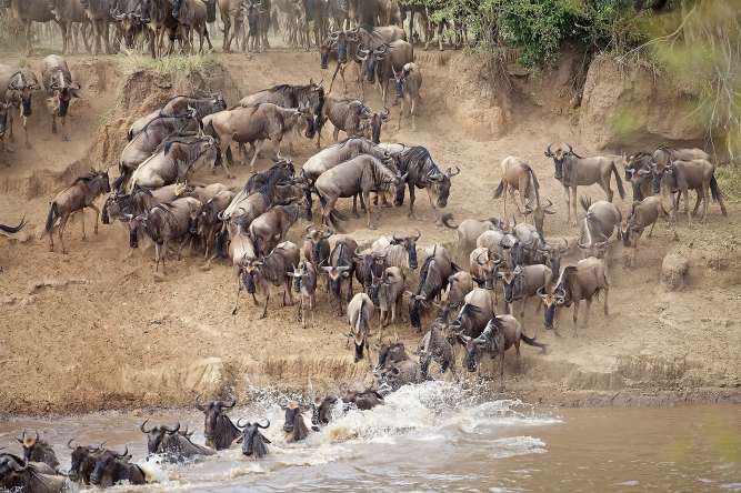 Great Migration