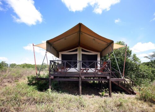 4 Day Masai Mara Safari