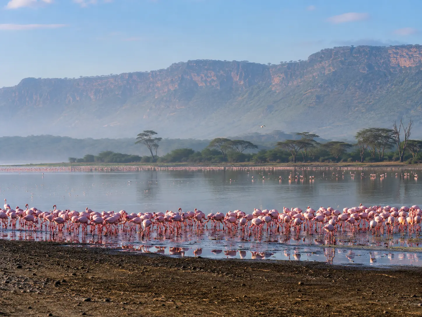 Rhino and flamingo viewing in Lake Nakuru National Park Kenya