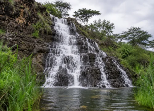 6 Day Samburu, Lake Nakuru and Naivasha Safari