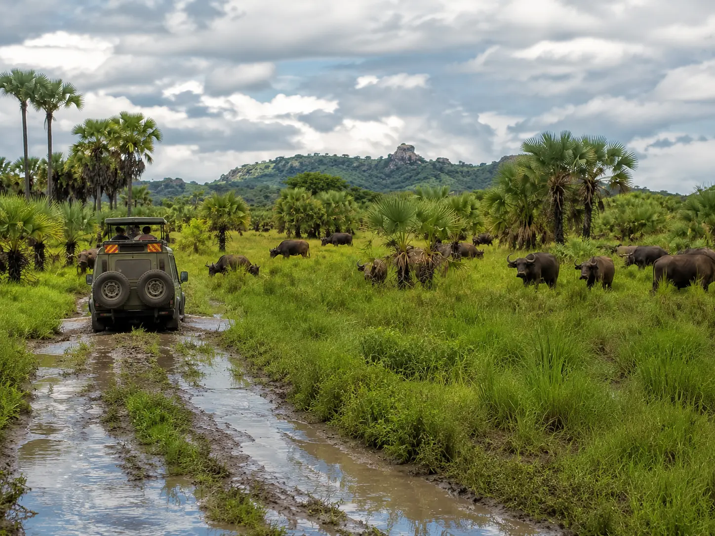 roads become muddy and slippery