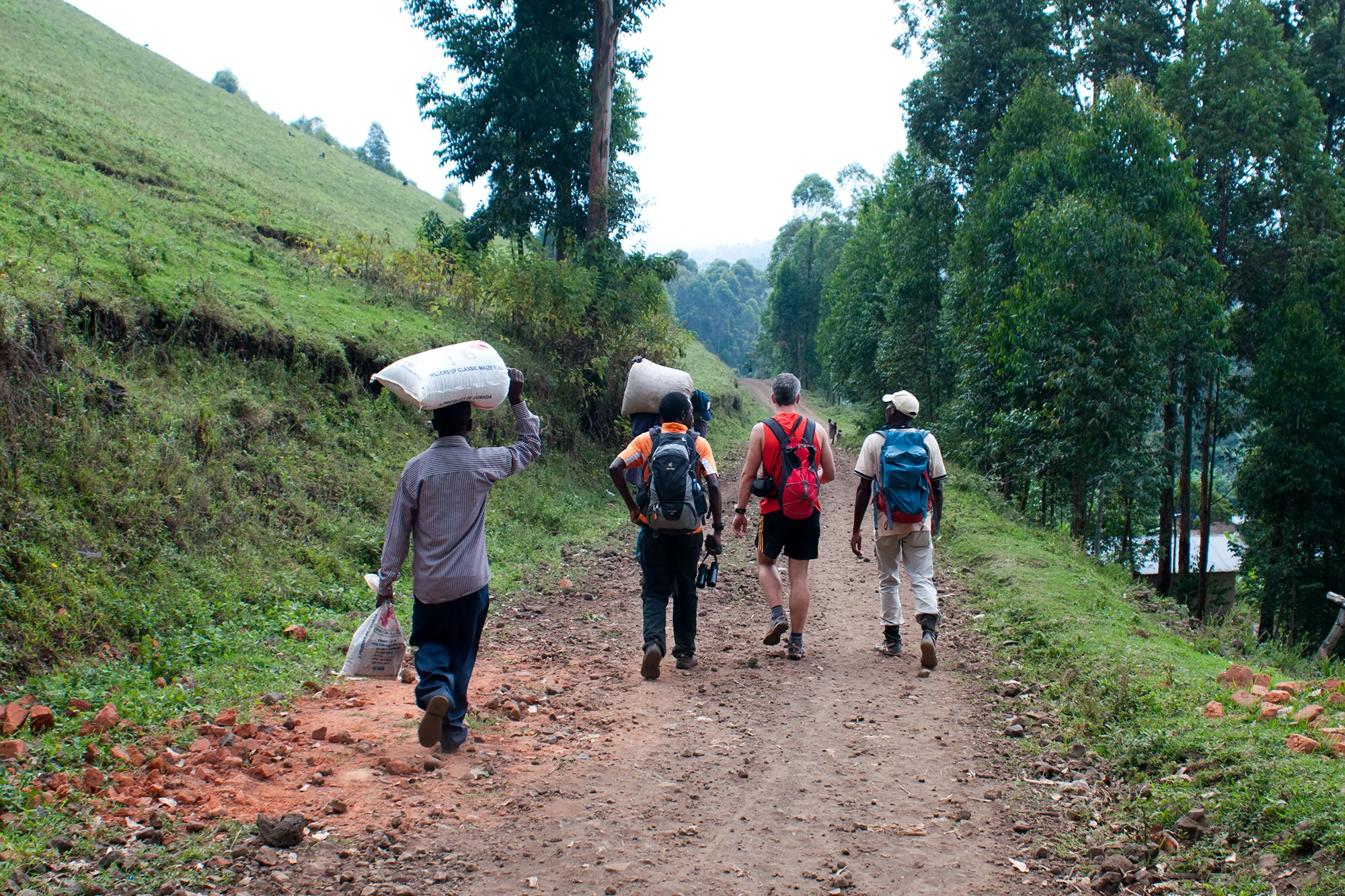 Bwindi natural walks