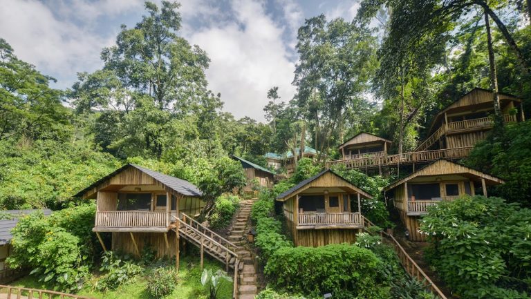 Clouds Mountain Gorilla Lodge