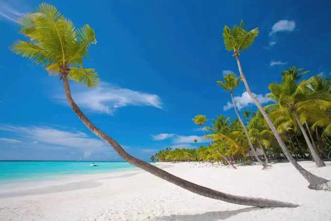 Nungwi Beach, Zanzibar’s Lively Northern Coast