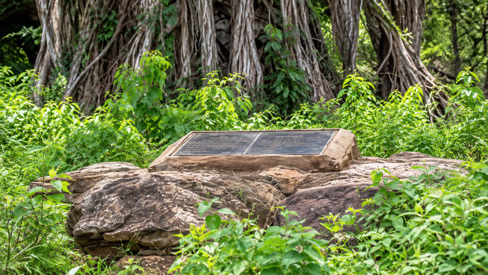 Elsa's grave 