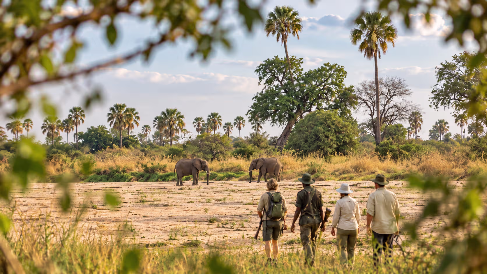 Walking Safaris and Day Walks in ruaha national park
