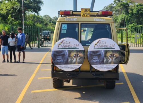 Local Operator Vs International Safari company