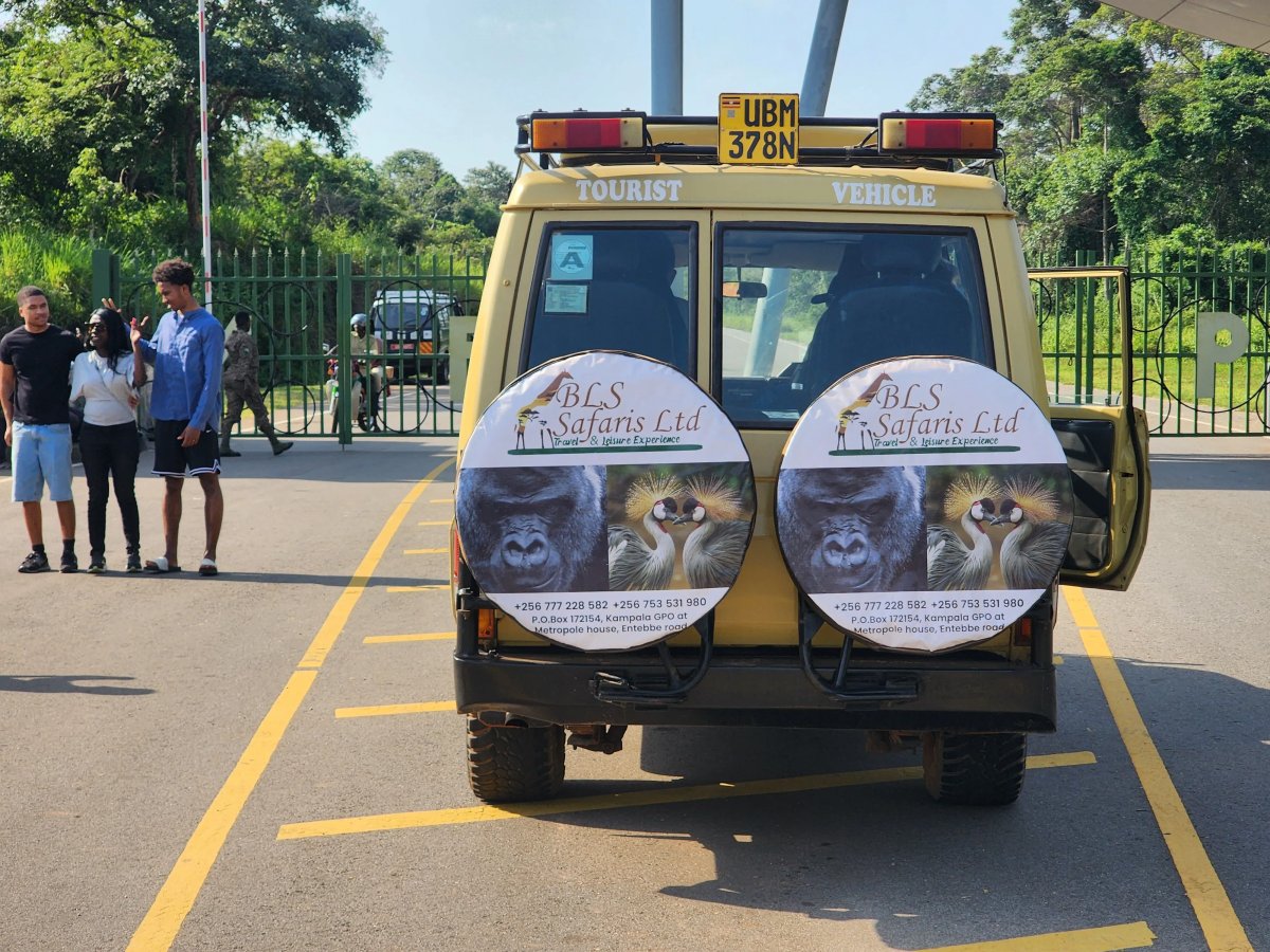 Local Operator Vs International Safari company