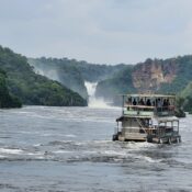 Uganda Safari for First-Timers: 2026 Planning Guide