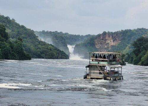 Uganda Safari for First-Timers: 2026 Planning Guide
