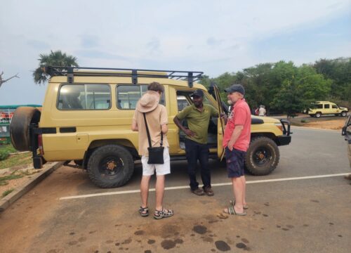 Safari booking through an agent or direct with a local operator