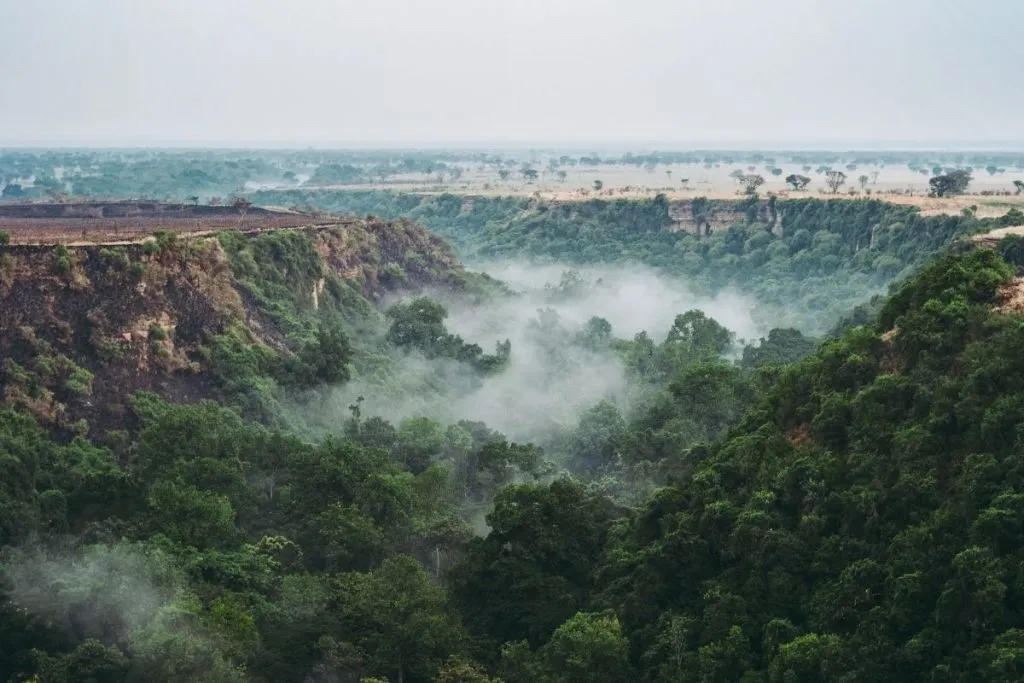 Wildlife viewing in Queen Elizabeth National Park